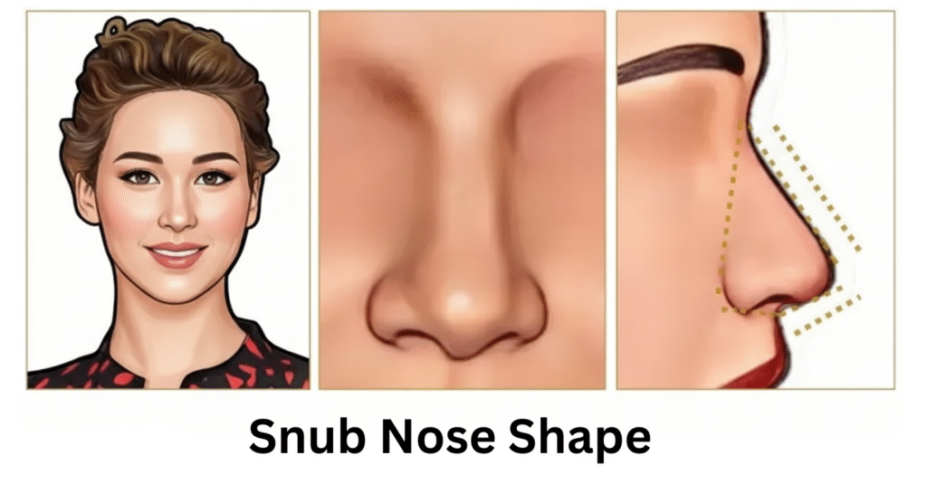 Snub Nose Shape