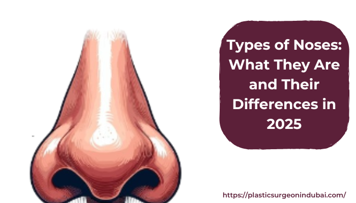 Types of Noses: What They Are and Their Differences in 2025